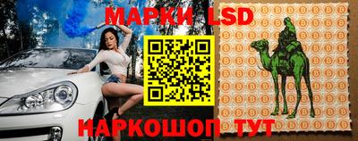 шишки Бузулук