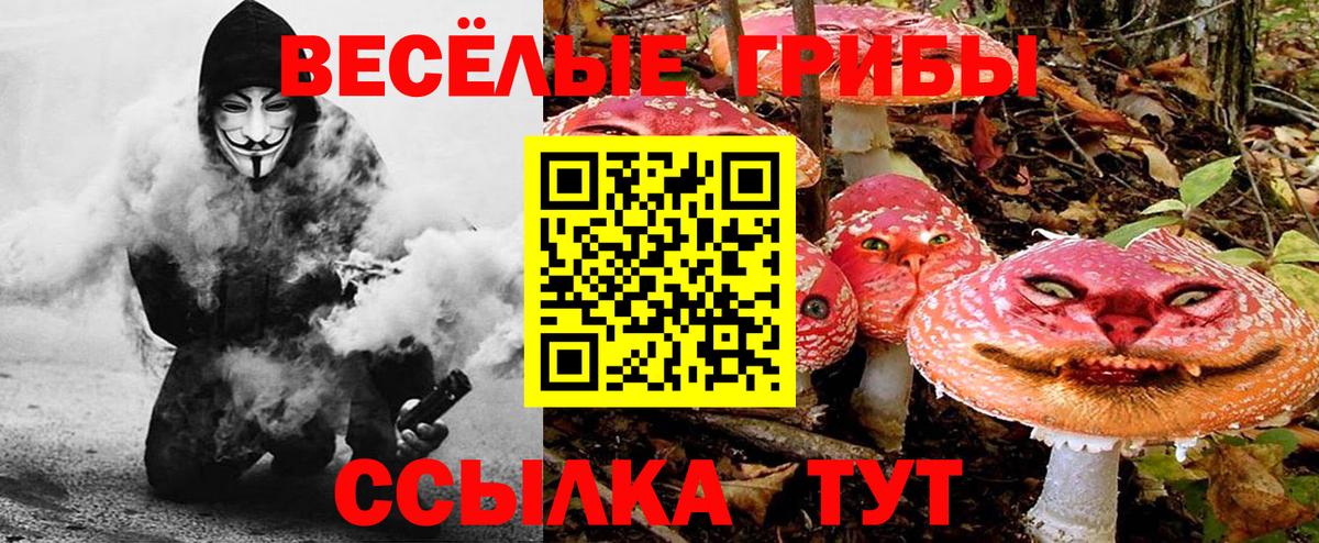 Глазов  Галлюциногенные грибы прущие грибы  Псилоцибиновые грибы Psilocybe  Вход с VPN 